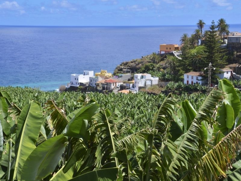 San Andrés - un pueblo exotico en la Palma