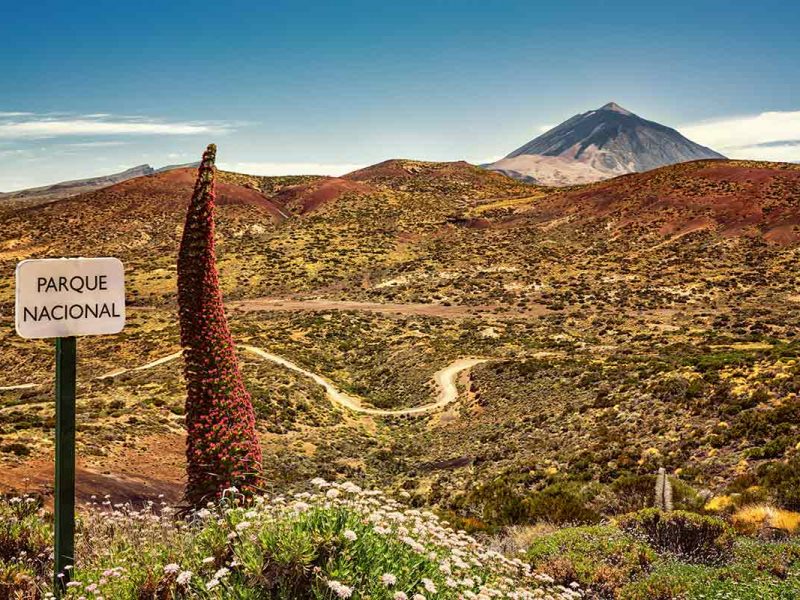 Tenerife Parque nacional senderismo GR131